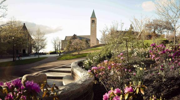 Cornell campus with clock tower
