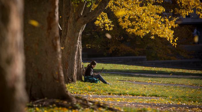 woman sitting next to tree with laptop on campus