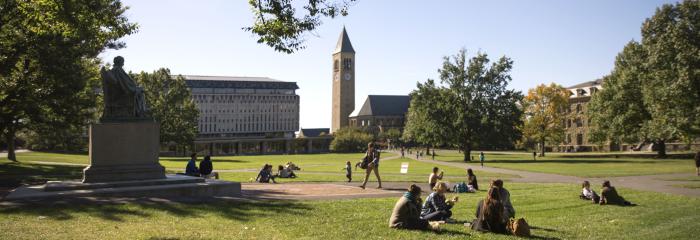 Students on the Arts Quad in fall.
